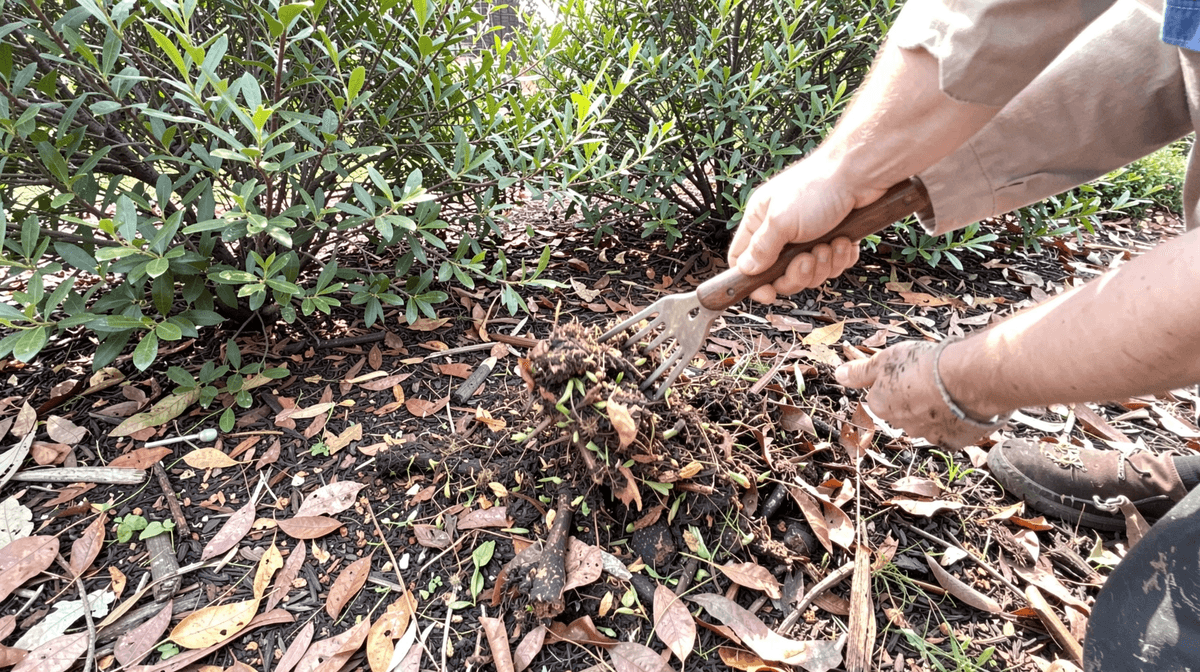 Don't Burn Your Garden on the Way Out (Fall Cleanup)