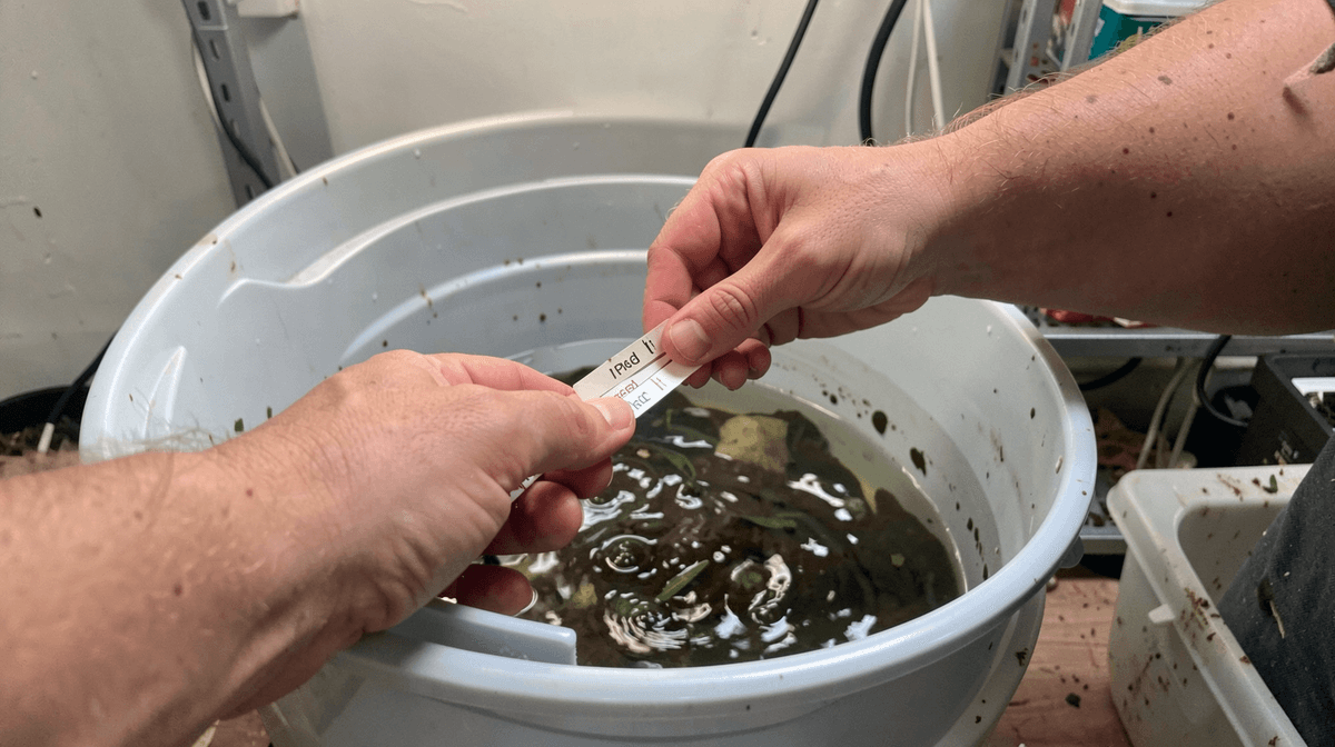 When Your Hydroponic Setup Goes Wrong: A Troubleshooting Guide