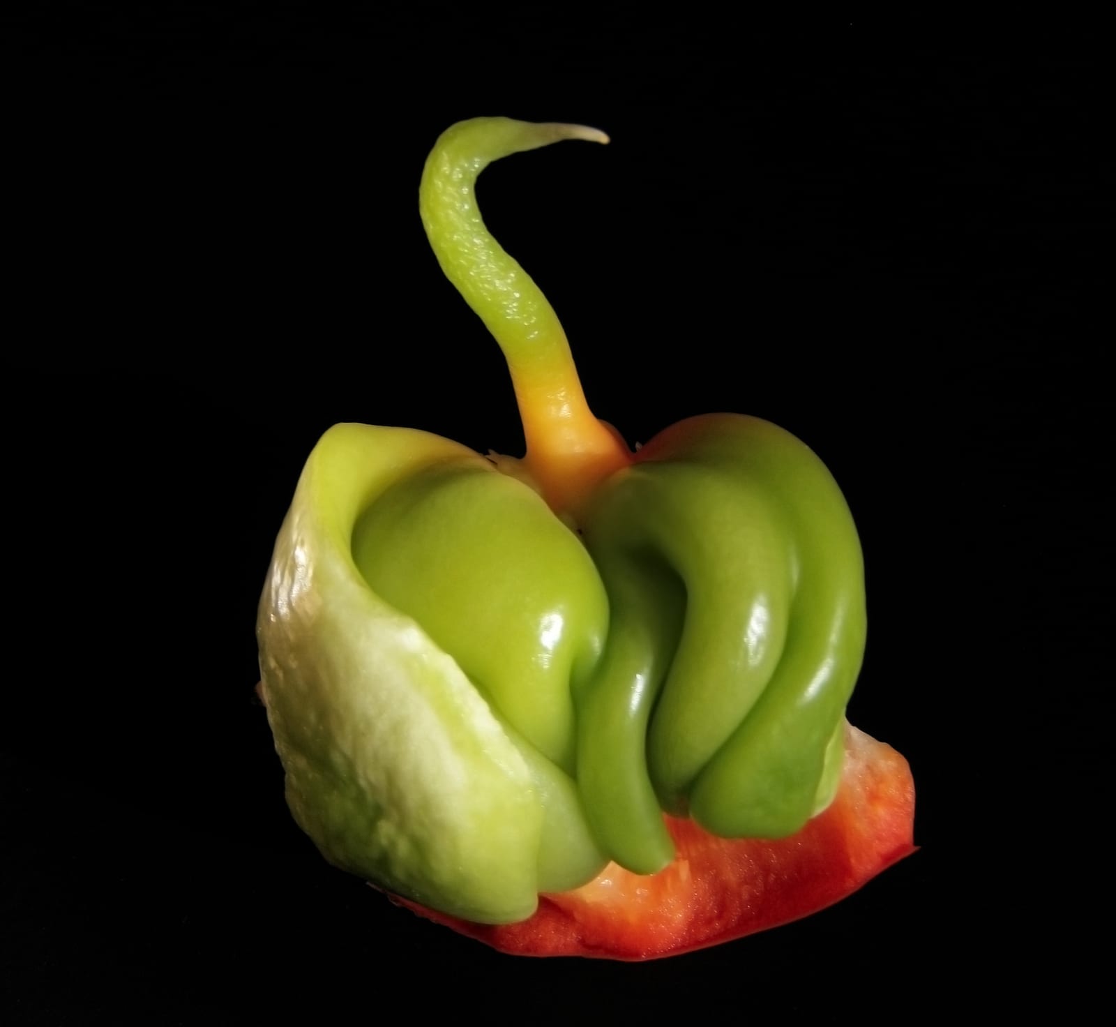 Bell Pepper thumbnail 2