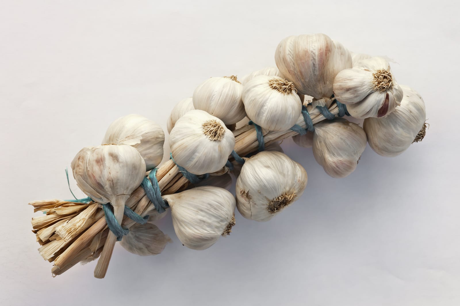 Garlic thumbnail 2
